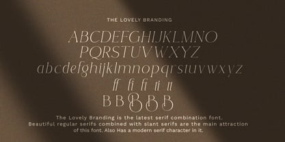 Lovely Branding Font Poster 14