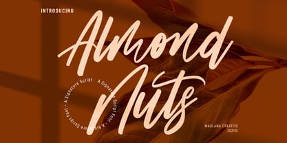 Almond Nuts Font Poster 1