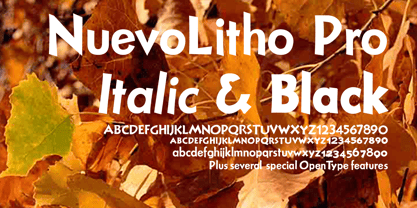 Nuevo Litho Font Poster 1