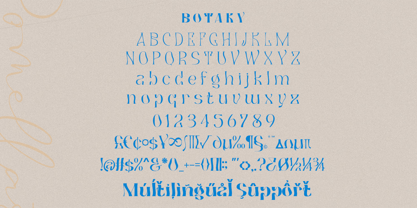 Botaky Font Poster 11