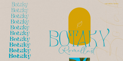 Botaky Font Poster 10