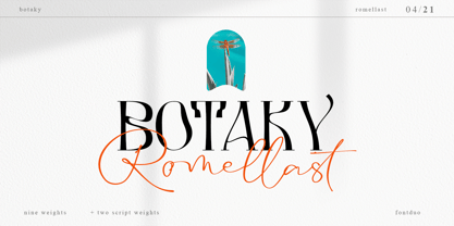 Botaky Font Poster 1