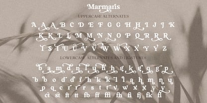 Marmaris Font Poster 15