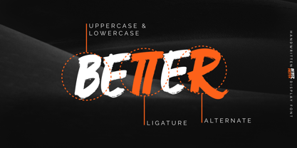 Better Faster Font Poster 9