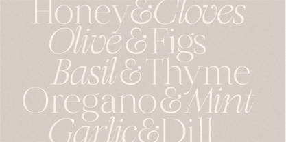 HV Olive and Figs Font Poster 3