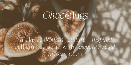 HV Olive and Figs Font Poster 2