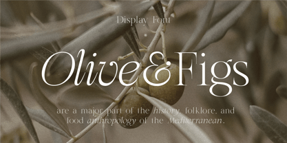 HV Olive and Figs Font Poster 1