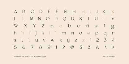 Hello Rogest Font Poster 5