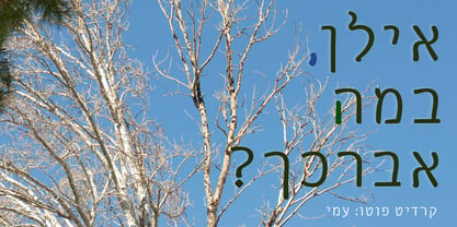 Phone Pro Hebrew Font Poster 4