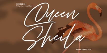 Queen Sheila Font Poster 1