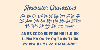 Rawnster Font Duo Font Poster 5