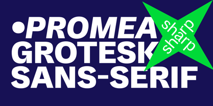 Promea Police Poster 1