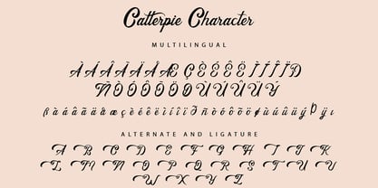 Catterpie Font Poster 9