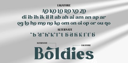 Boldies Font Poster 10