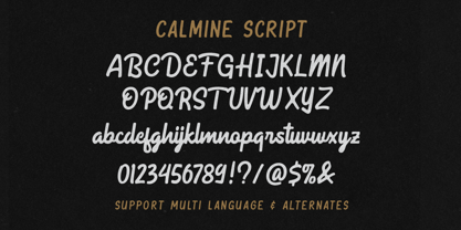 Calmine Font Duo Font Poster 4