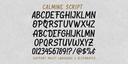 Calmine Font Duo Font Poster 5