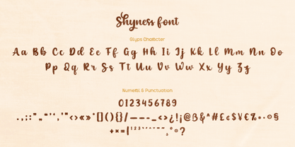 Shyness Font Poster 9