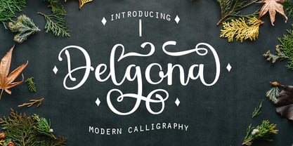 Delgona Font Poster 1