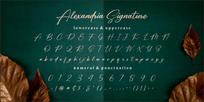Alexandria Signature Font Poster 7