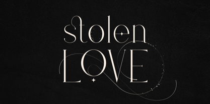 Stolen Love Police Affiche 1
