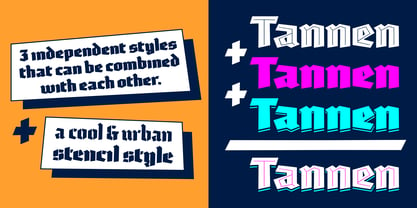 Tannen Font Poster 5