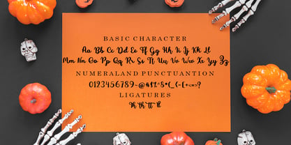 Jack Lady Script Font Poster 5