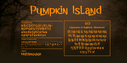 Pumpkin Island Font Poster 8