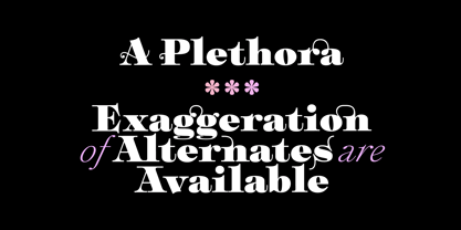Plethora Font Poster 9