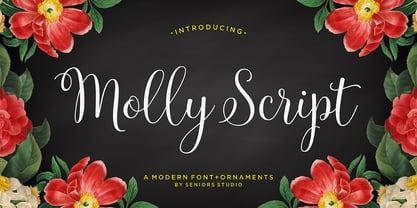 Molly Script Font Poster 1