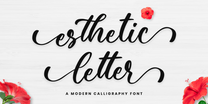 Esthetik Letter Font Poster 1