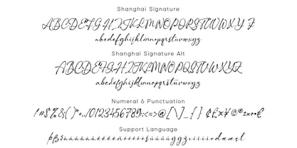 Shanghai Signature Font Poster 12