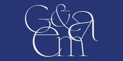 Gather Serif Font Poster 8