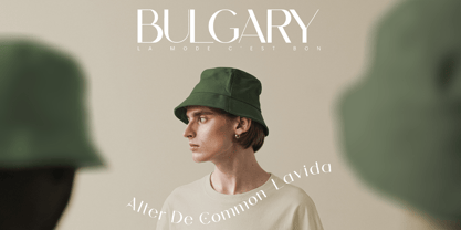 Alokary Fuente Póster 4