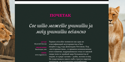 Baldufa Cyrillic Font Poster 2