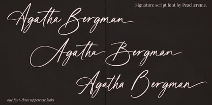 Agatha Bergman Font Poster 1