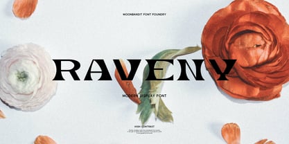 MBF Raveny Font Poster 1