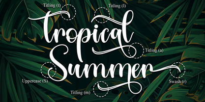 Tropical Leaves Font Poster 8
