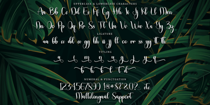 Tropical Leaves Font Poster 7