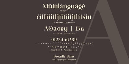 Breadley Serif Font Poster 11