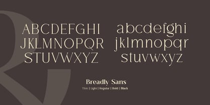 Breadley Serif Font Poster 10