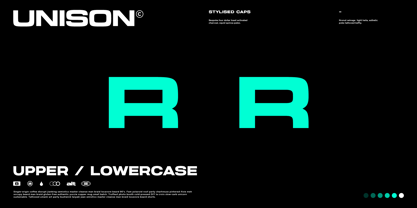 Unison Pro Font Poster 5