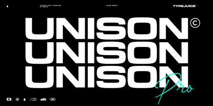 Unison Pro Font Poster 1