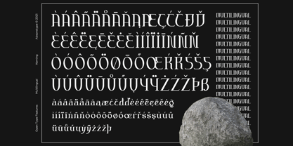 Androneida Font Poster 8
