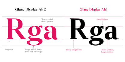 Giane Font Poster 8