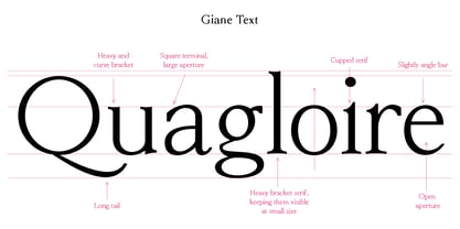 Giane Font Poster 14