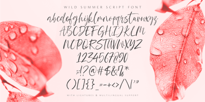 Wild Summer Font Poster 4