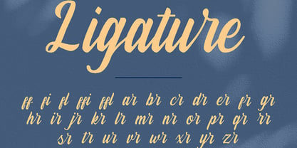 Dellyco Font Poster 7