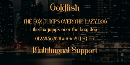 Goldfish Font Poster 8