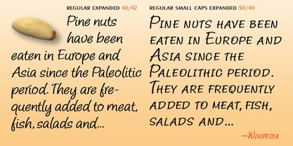 Pine Nuts Font Poster 8