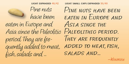 Pine Nuts Font Poster 7